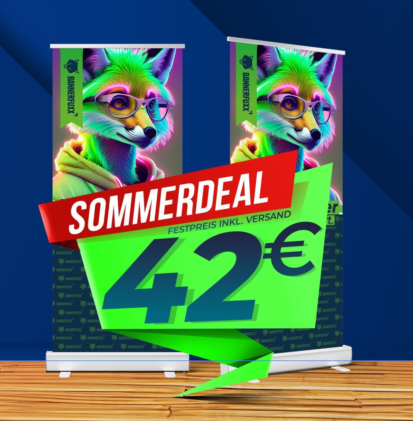 Sommerspezial Rollup Basic