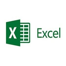 Excel Basics (half-day session)
