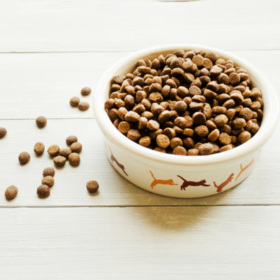 Alimentos para gatos