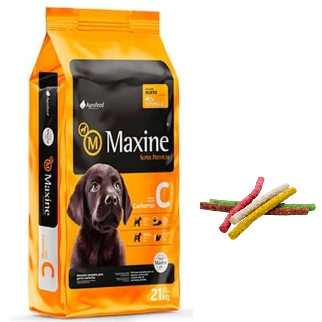 Maxine Cachorro 7,5kg + Snacks