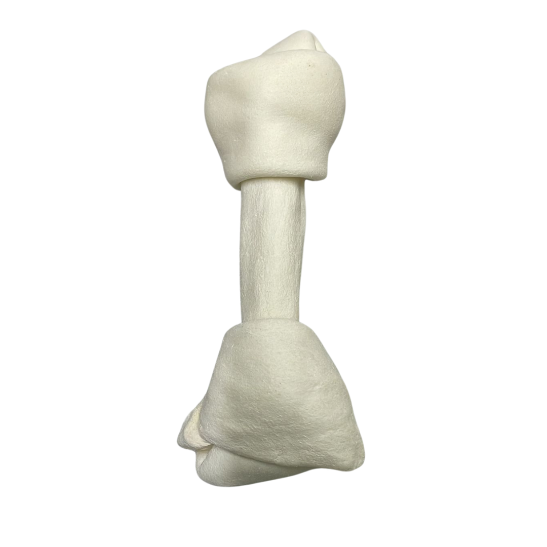 Hueso lonja 18cm aprox.