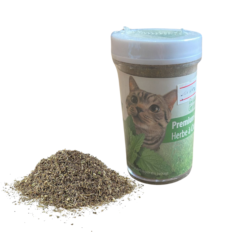 Yerba gatera pote 25gr