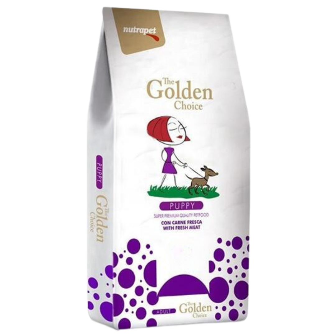 The Golden Choice Perros Cachorros Regalos