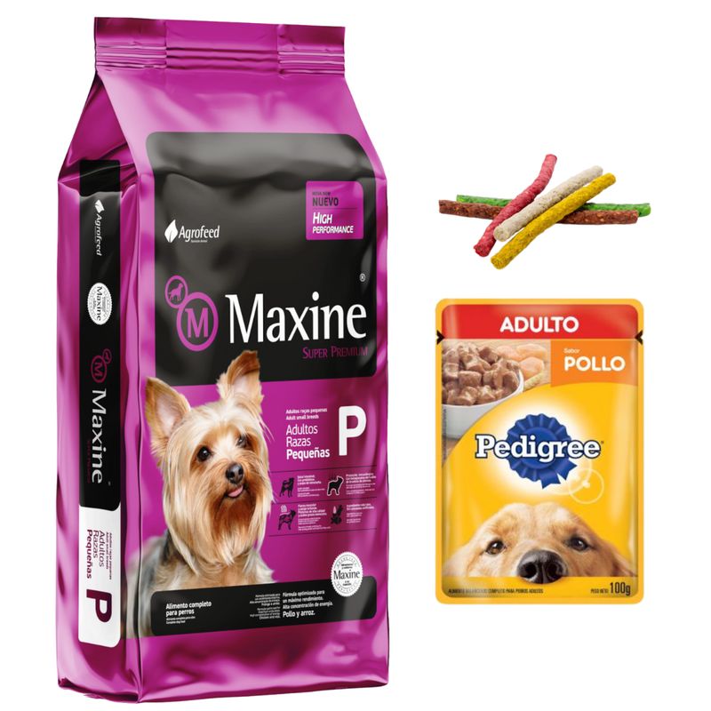 Maxine Adulto Raza Pequeña 21kg + Regalos