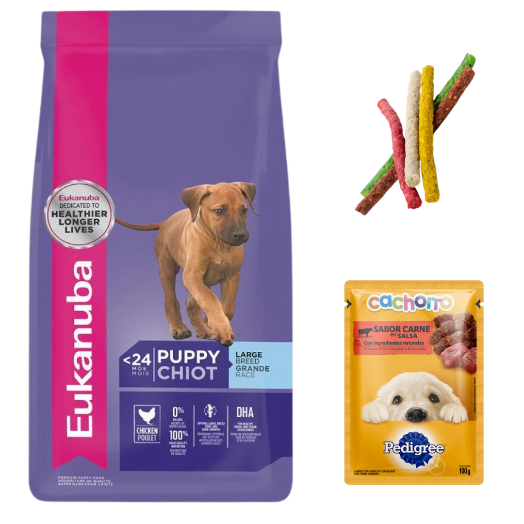 Eukanuba Cachorro Razas Grandes 15kg + Regalos