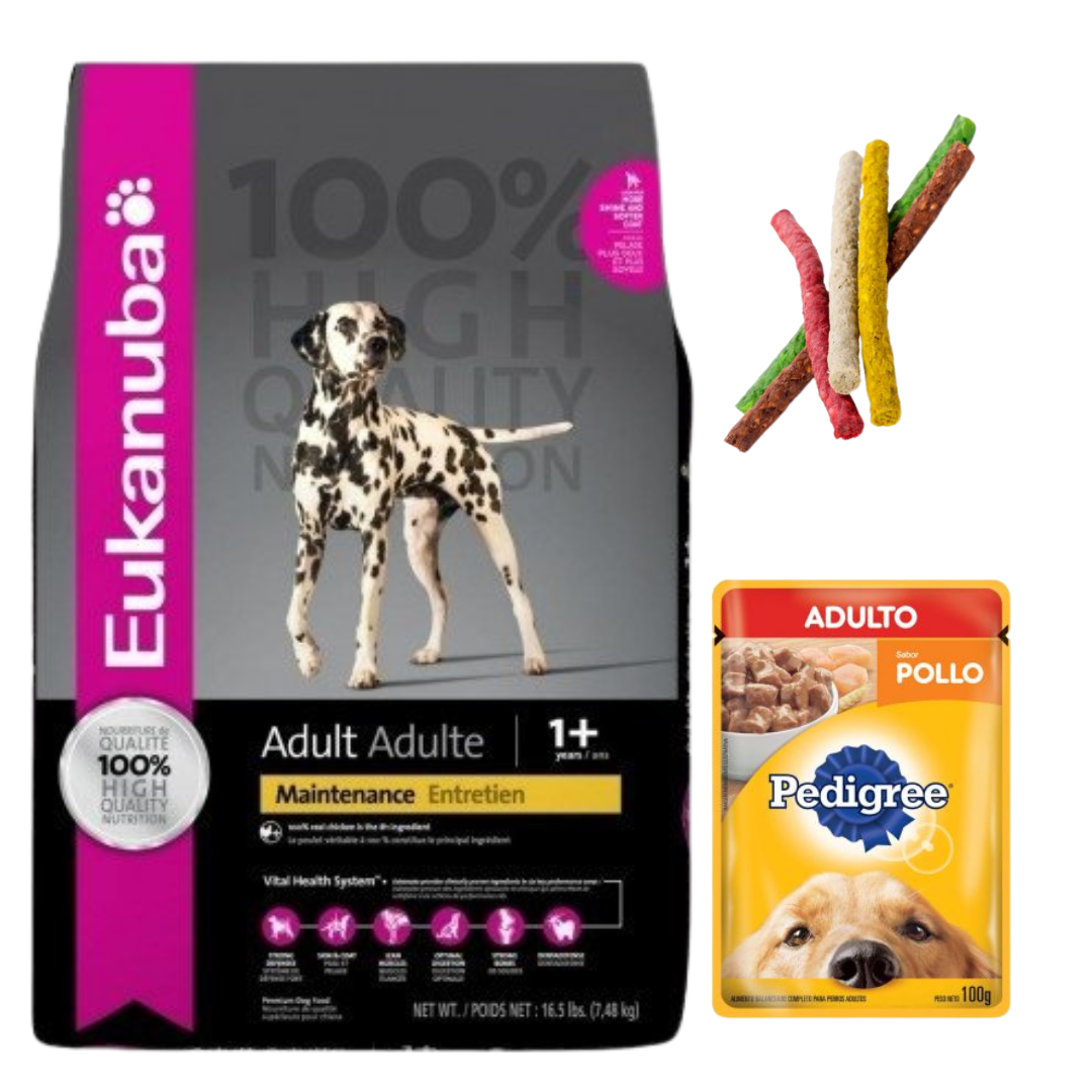Eukanuba Adulto Razas Medianas 18kg + Regalos