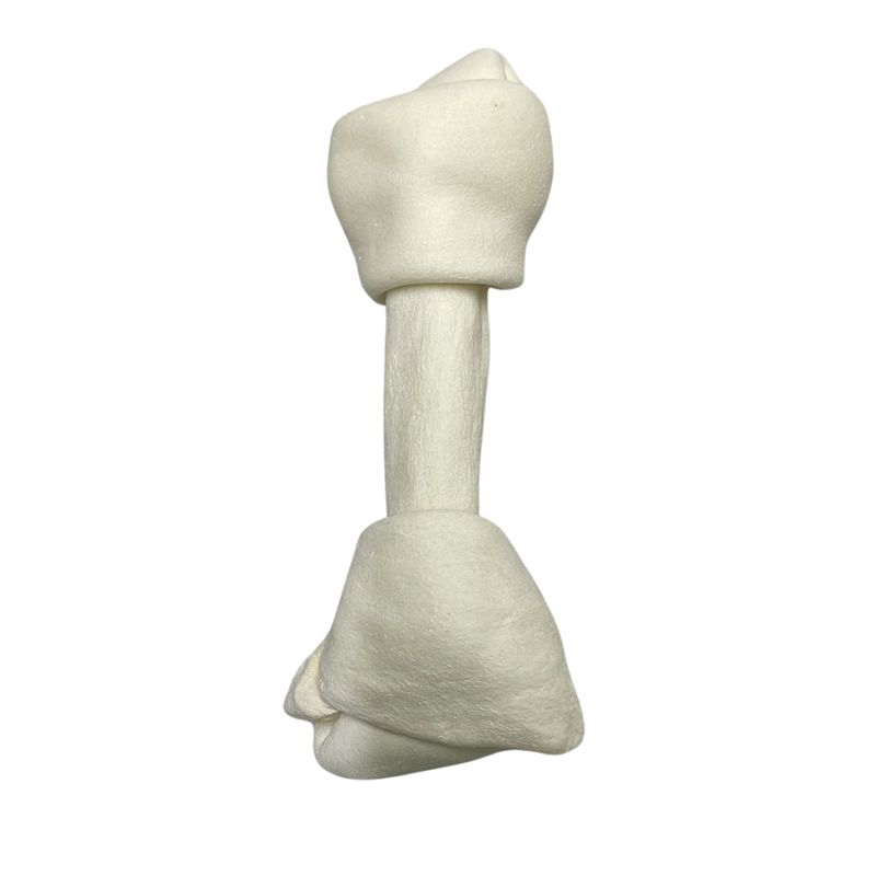 Hueso lonja 28cm aprox.
