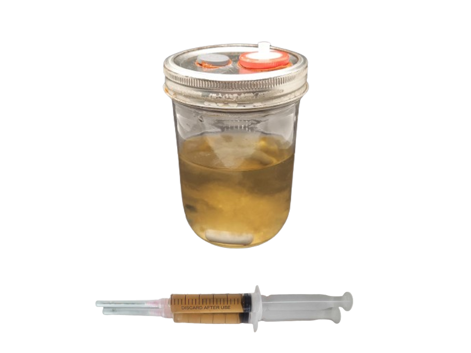 Liquid Cultures
