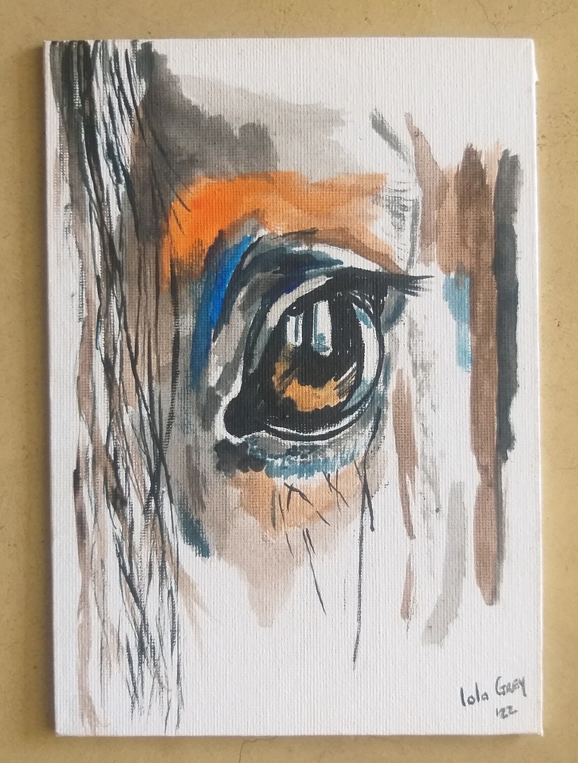 Horse eye