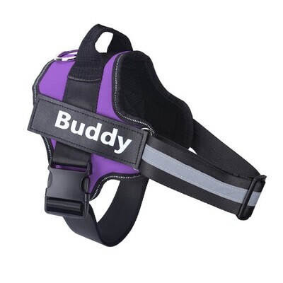 Personalized Dog Harness