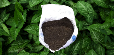 Potting Soil Mix 30dm Force Of Nature