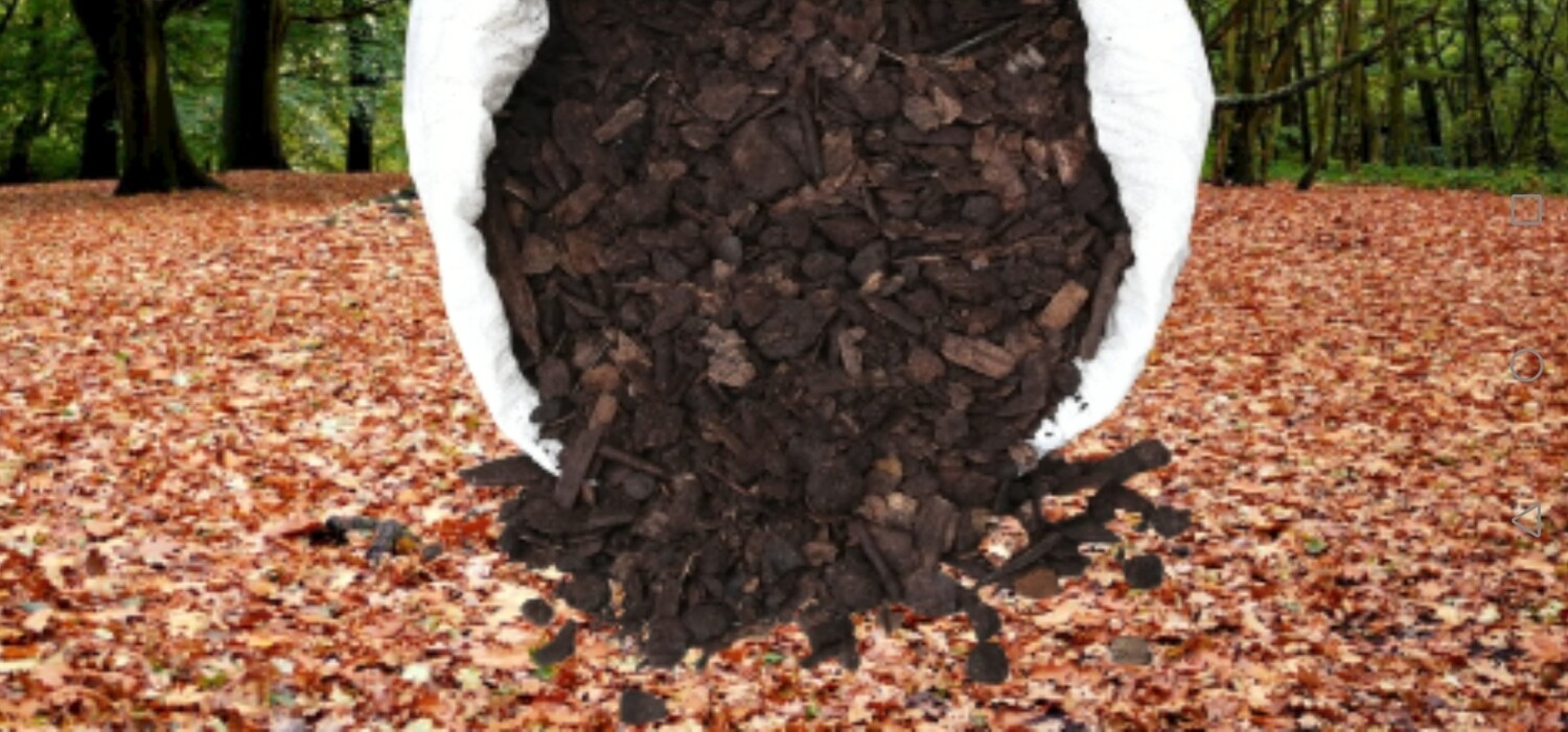 Potting Medium 60dm Bag Force Of Nature