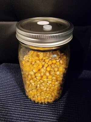 Pre-sterilized Nutrient bathed Popcorn qt