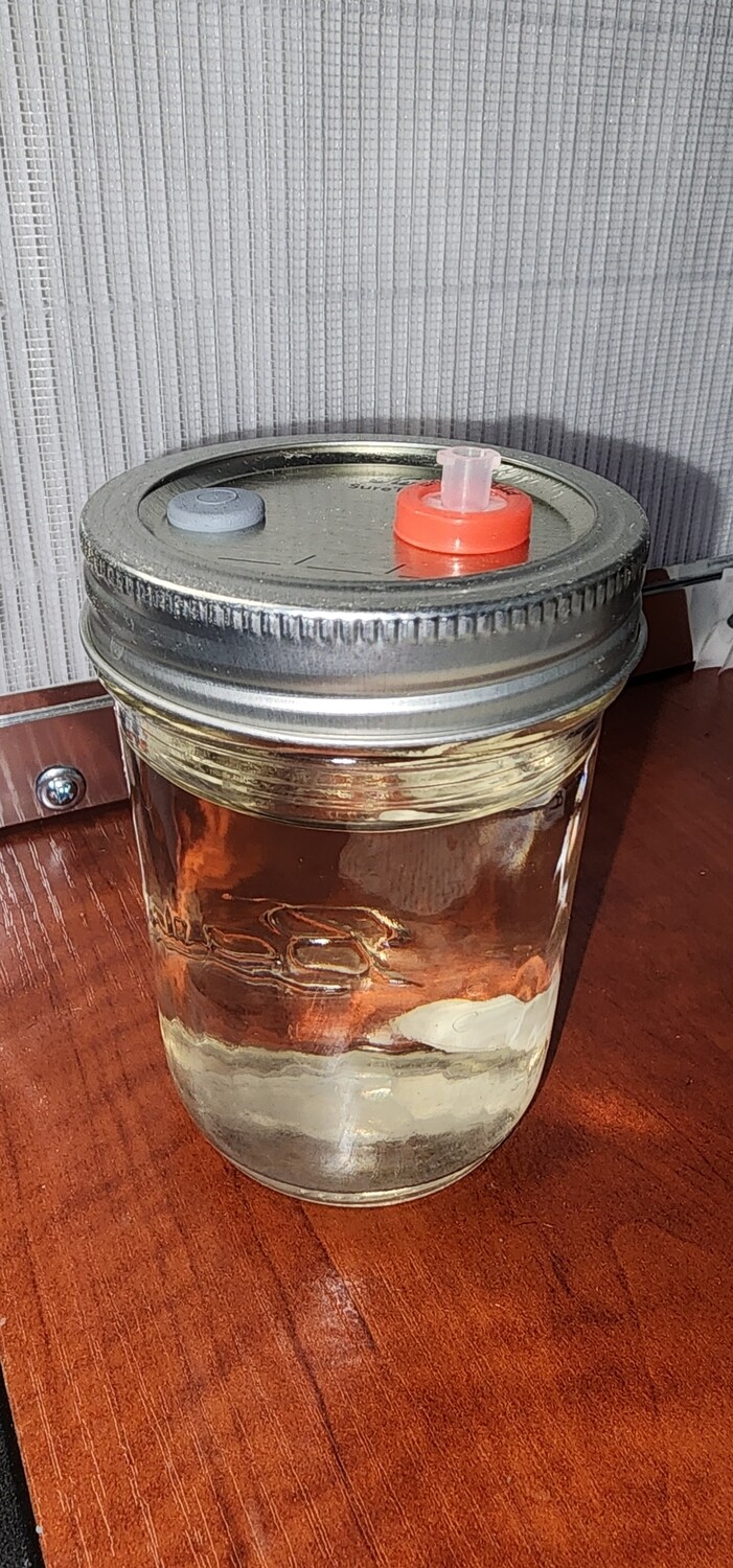 Pre-Sterile Liquid culture medium half pint with modded lid.