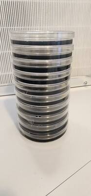 LMEAC Pre-poured Black Agar 10x plates 90mm x 16mm petri dish