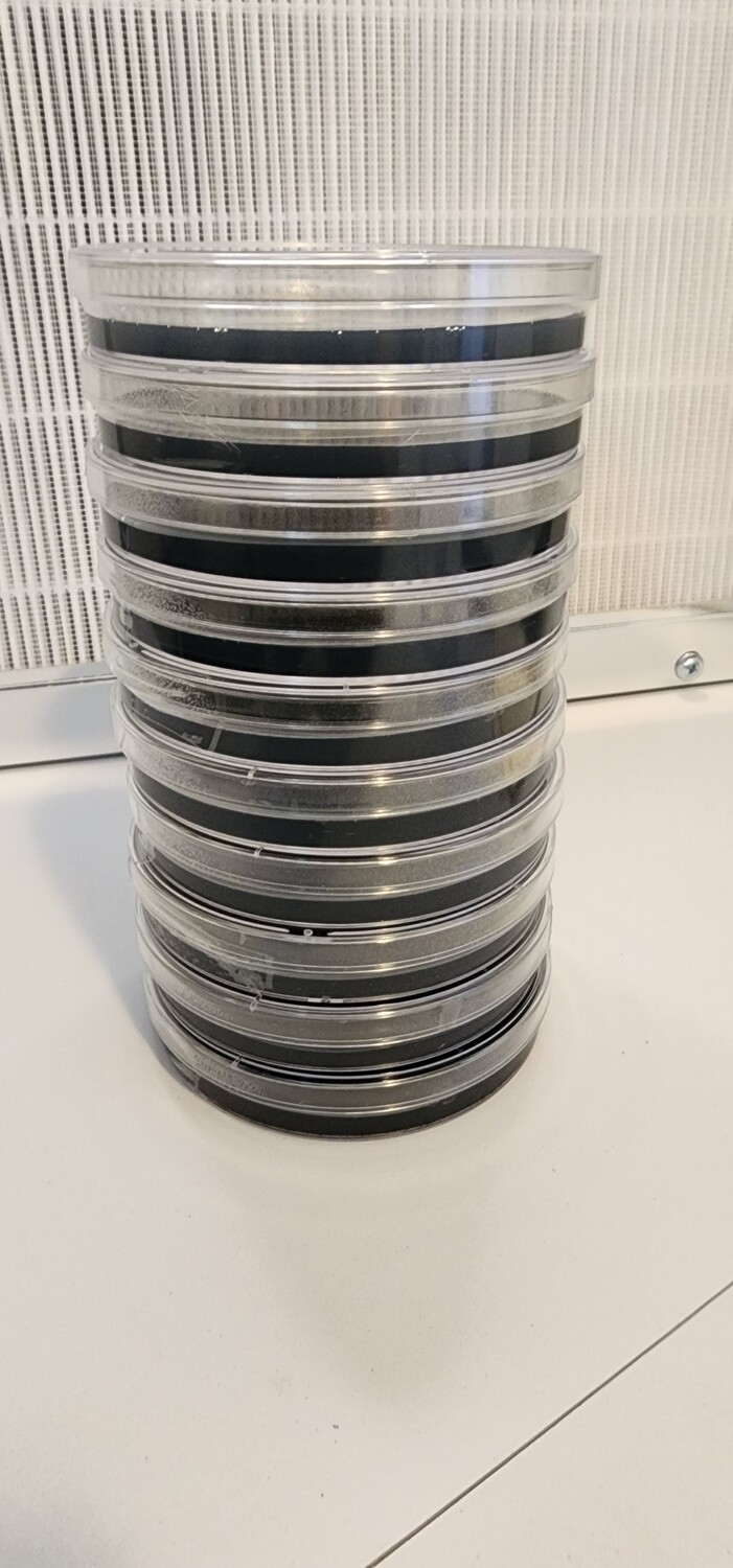 LMEAC Pre-poured Black Agar 10x plates 90mm x 16mm petri dish