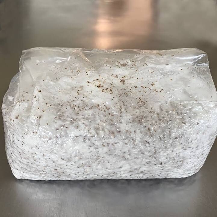 4 lb Pre done grain bag *pre orders*
