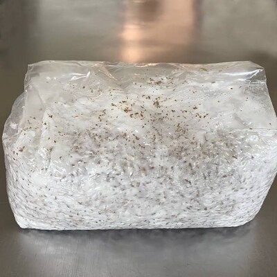 4 lb Pre done grain bag *pre orders*