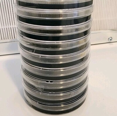 🤌🏽AGAR clean/colonized🤌🏽
