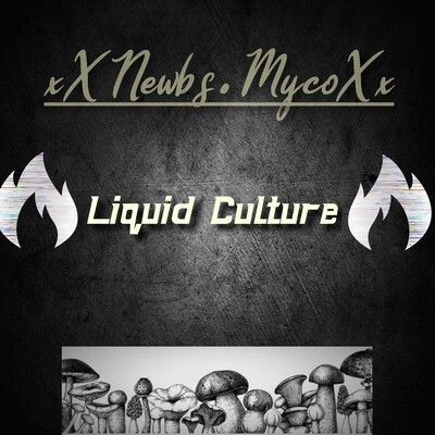 🚀⚠️Liquid Culture &quot;LC&quot;⚠️🚀