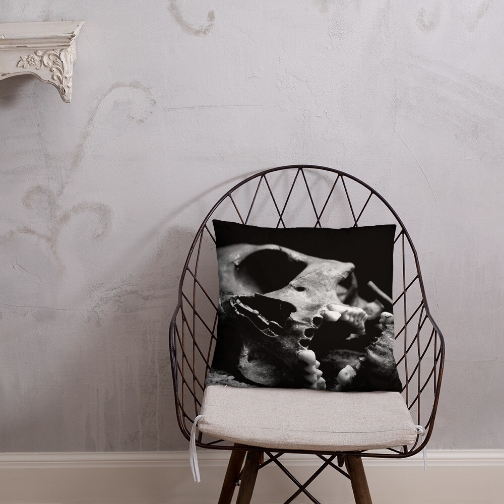Skull Pillow