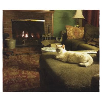 Comfort Couch Bytesized Comforter