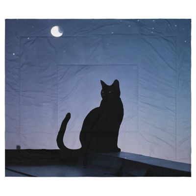 Roof Cat Bytesized Comforter