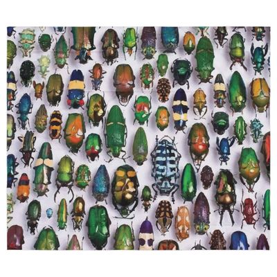 Collection Bytesized Comforter