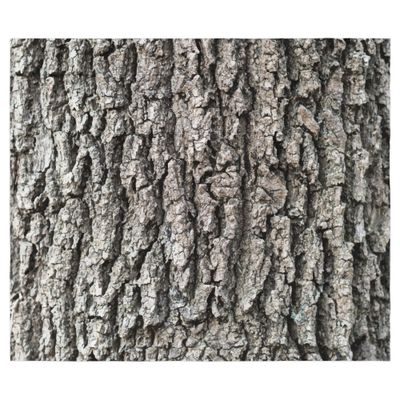 Gray Bark Bytesized Comforter Gray Bark Bytesized Comforter