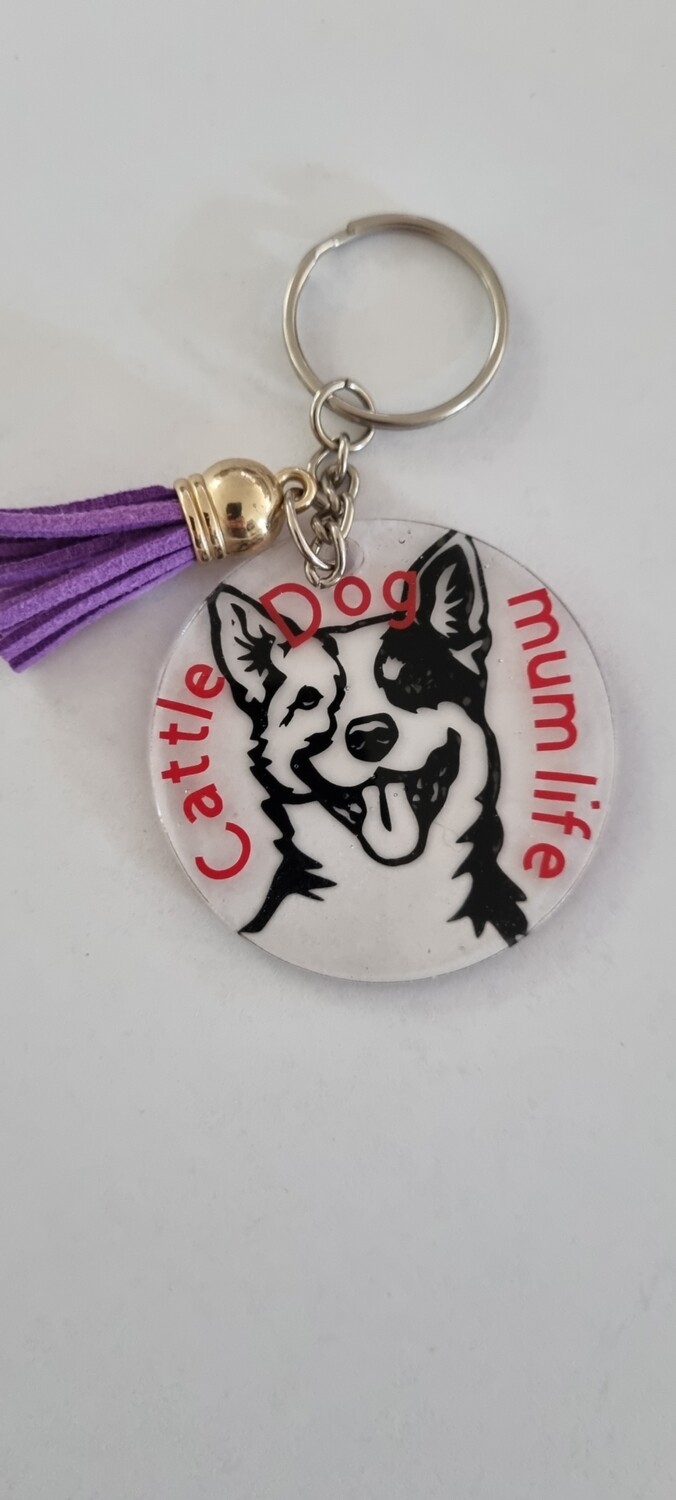 Cattle dog mum life
