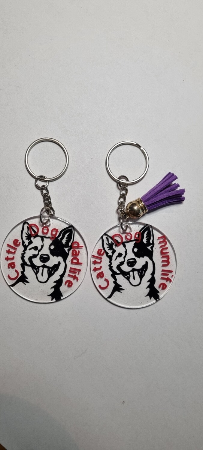 Cattle dog mum/dad life