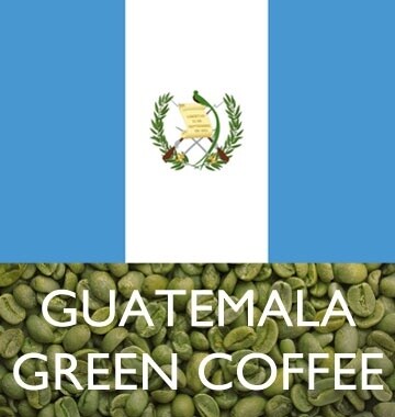 Green Beans - Guatemala Asobagri Organic (Washed) 1 lb