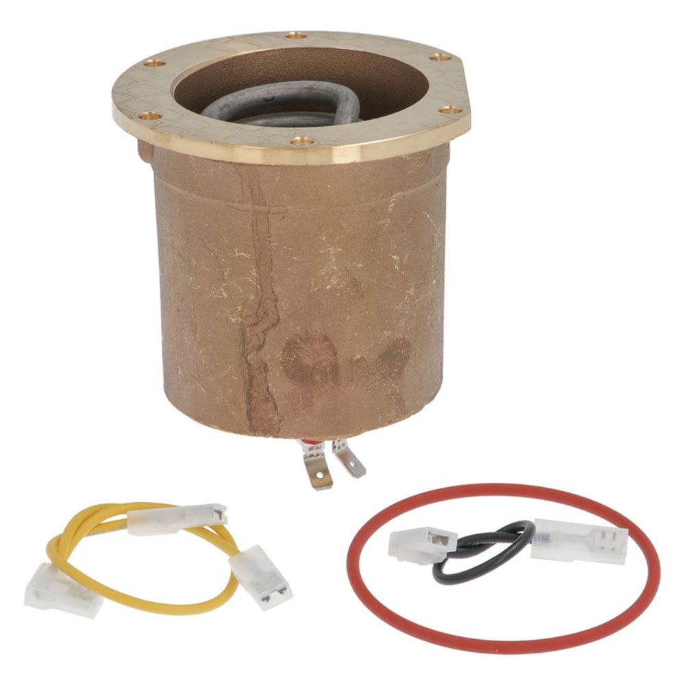 Rancilio Silvia Group Boiler &amp; Element 120 V