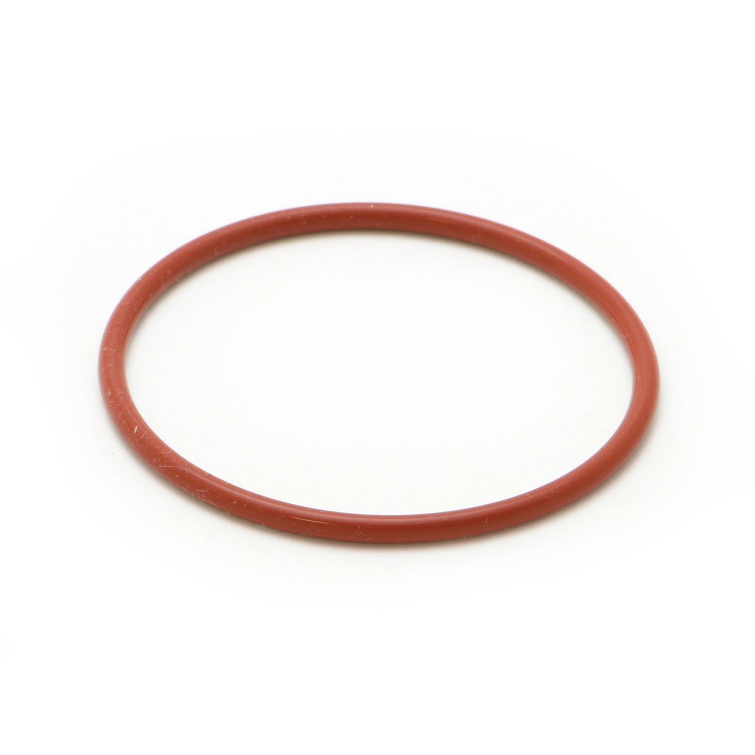 ECM - C449900790 Gasket Shower Plate