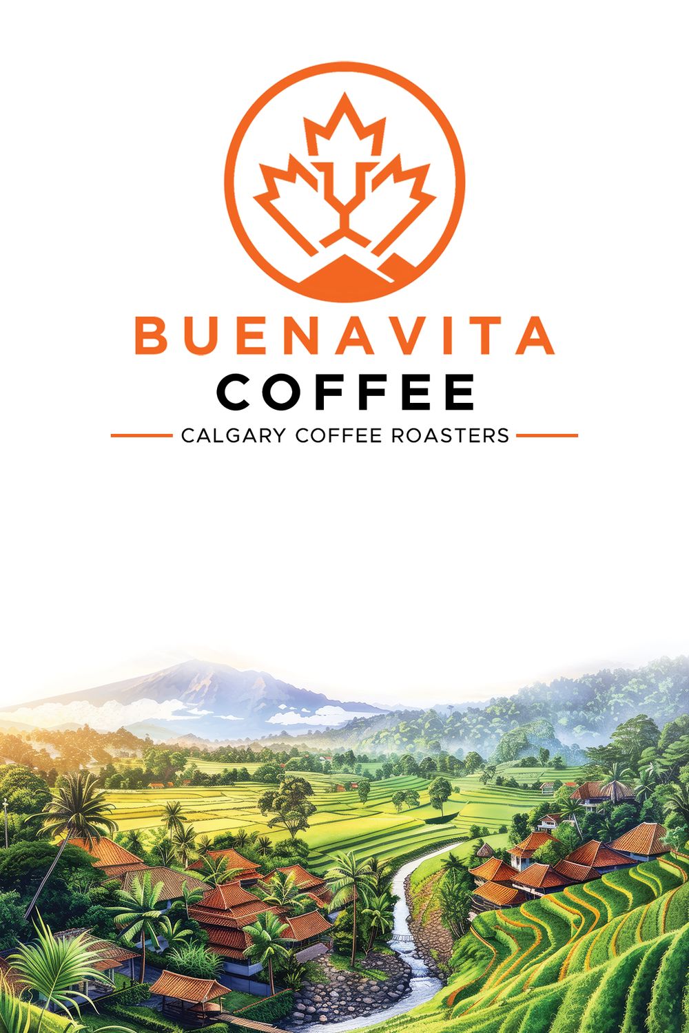Buenavita Coffee Subscription - monthly - 2lb bag