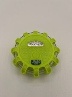 Lizard Road Hazard Flasher