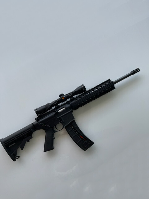 ​S&W MP 22 Nicon Scope-Case