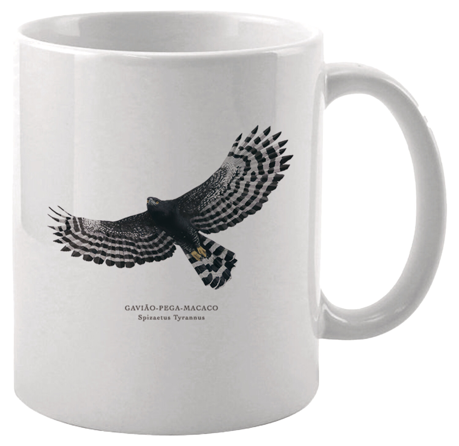 E-commerce Product Image