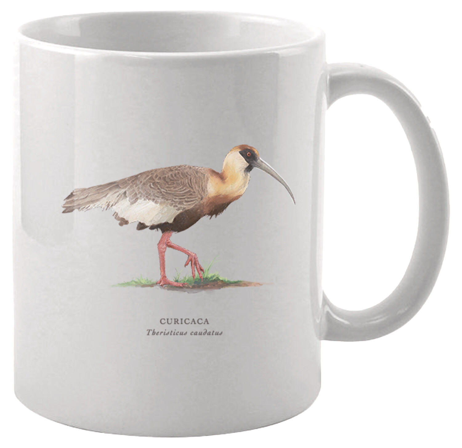 E-commerce Product Image