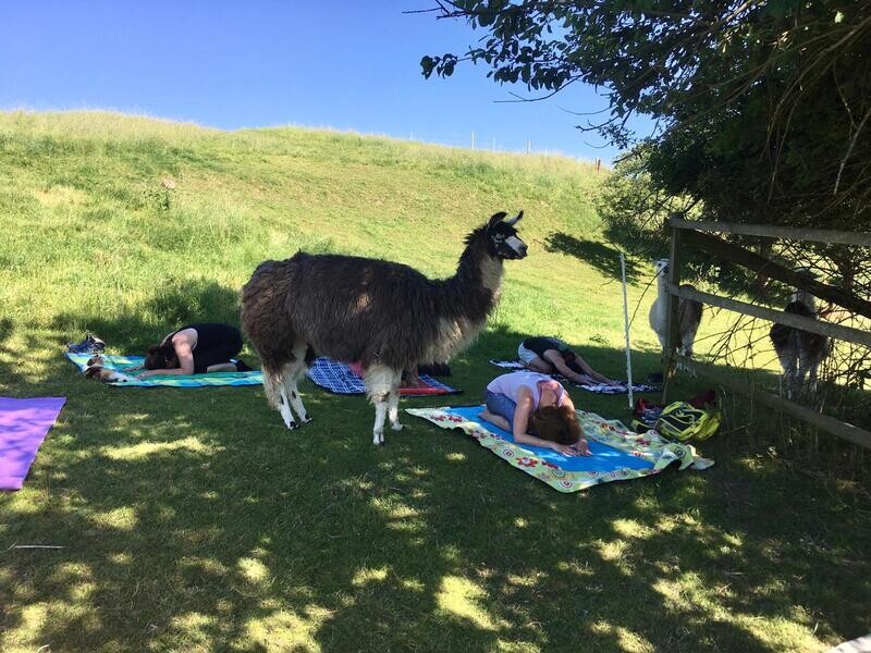 28.06.2025: Seelenbalsam für Dich 28.06.2025: Seelenbalsam für Dich