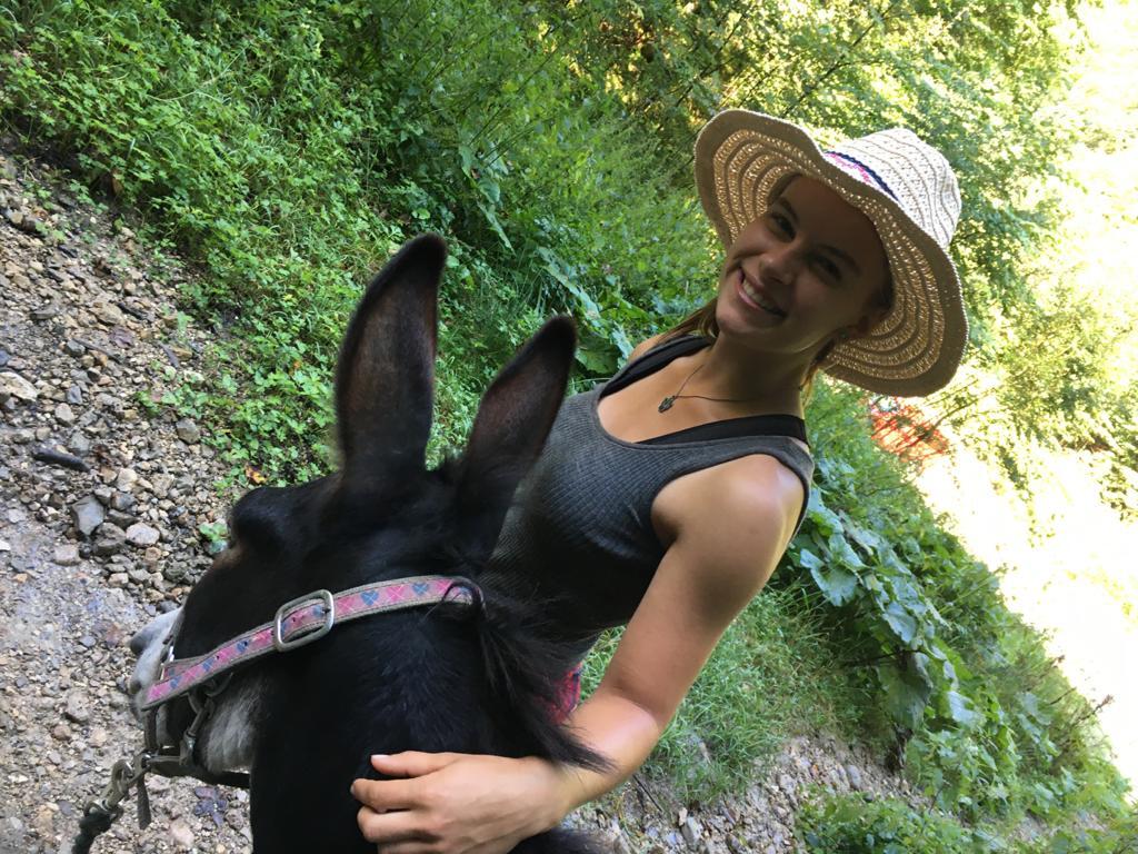 Gutschein für eine Eselwanderung (2 Personen)