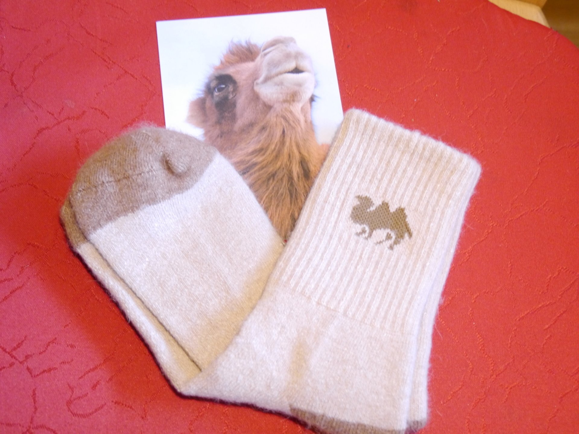 Socken aus Kamelwolle