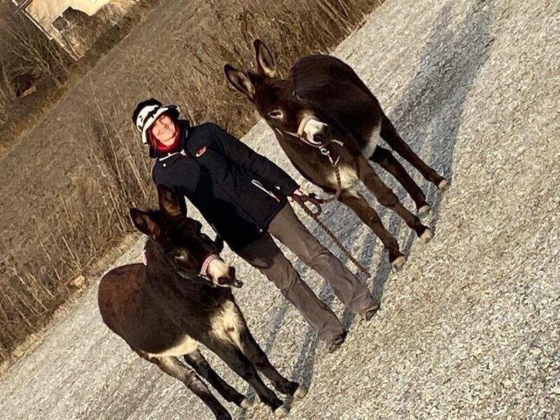 Meine Eselwanderung Meine Eselwanderung