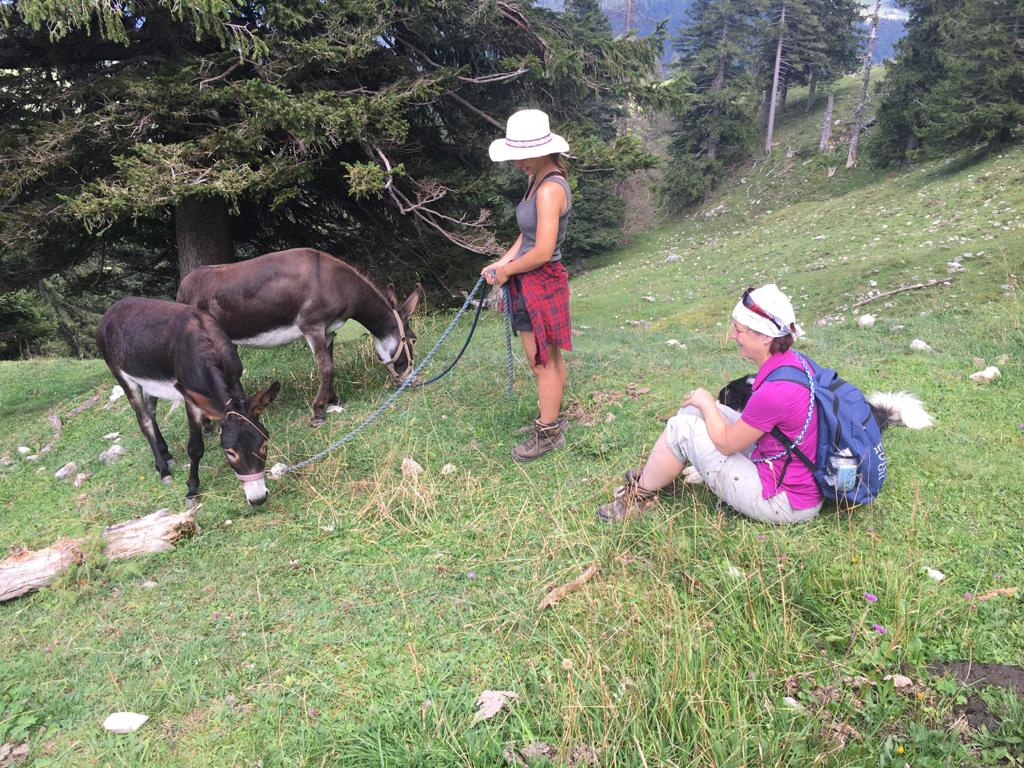 Meine Eselwanderung