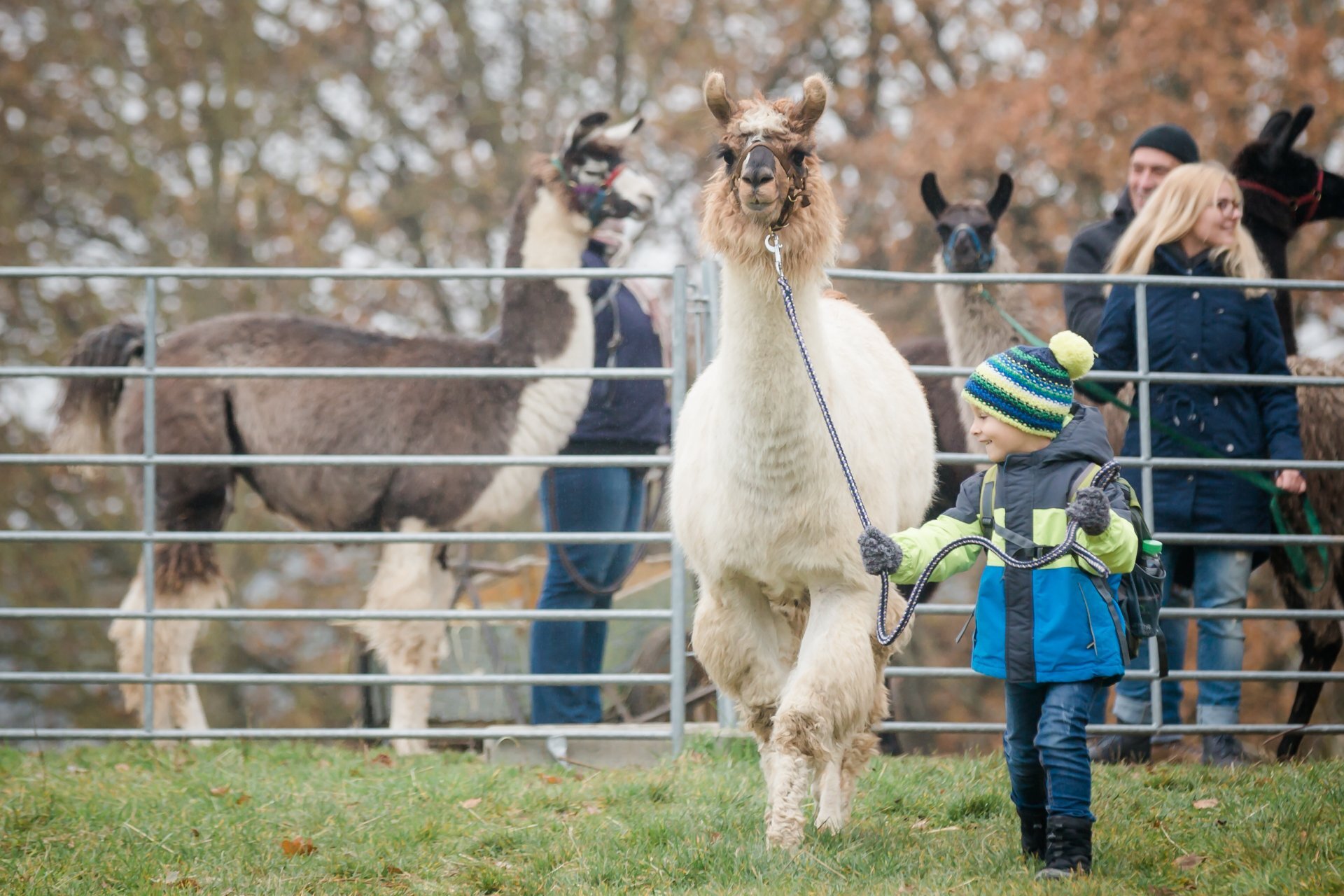 Individuelle Schnupperstunde am Hof