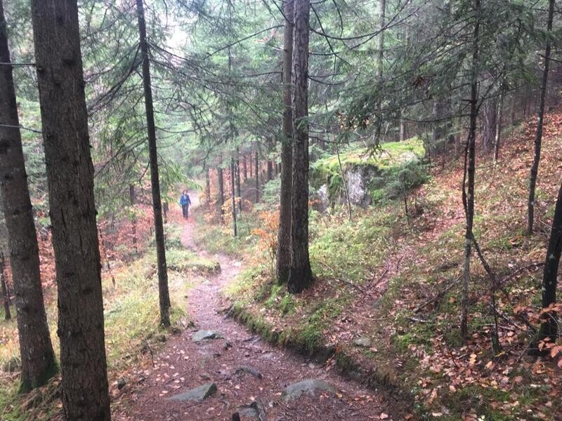 Individuelle Märchenwanderung Individuelle Märchenwanderung