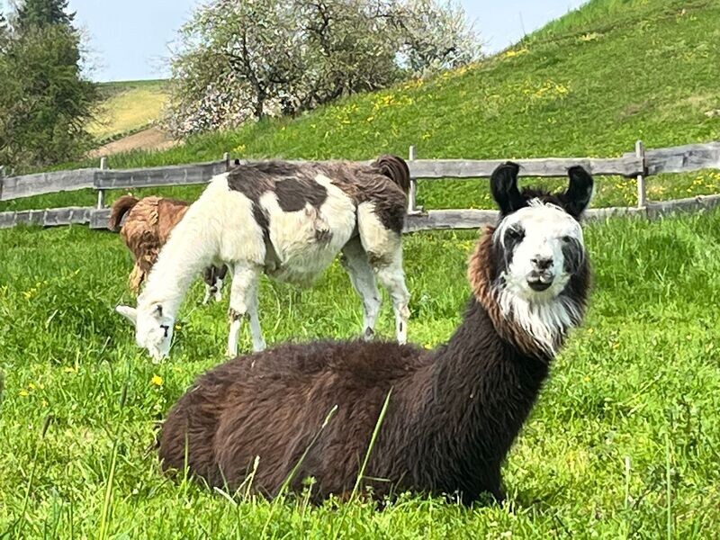 Ferienprogramm
