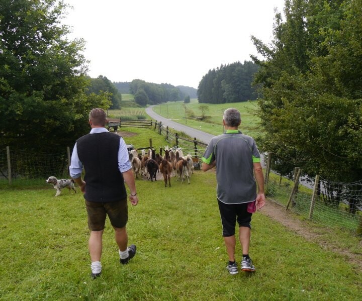 Teambuilding und Teamevent