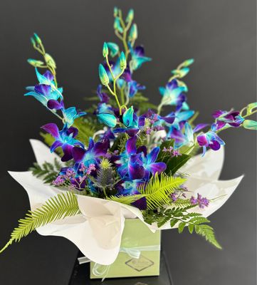 Orchid Love