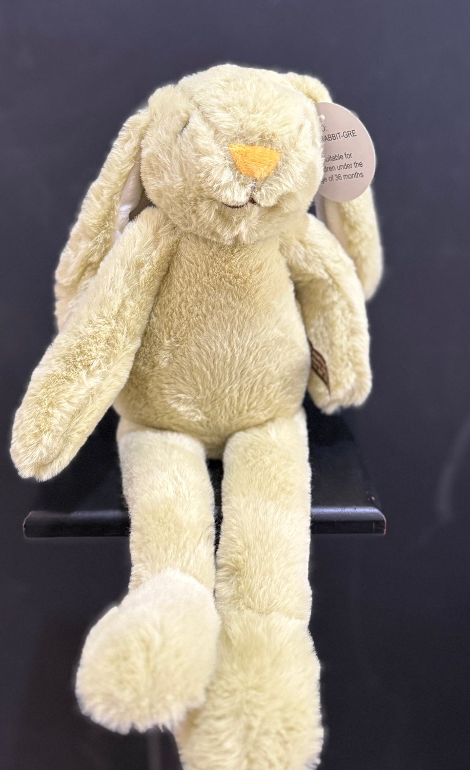 Green Bunny